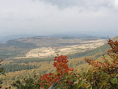 121021b.jpg